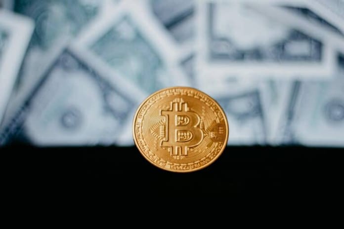 Morehead: Bitcoin není Ponziho schéma, dluhopisové trhy ano
