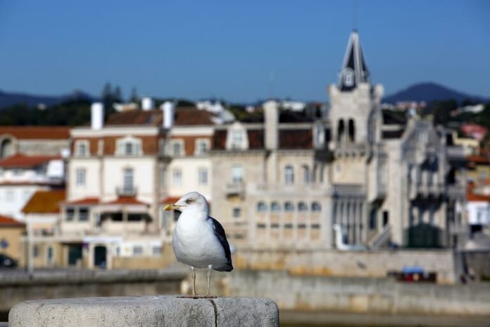 Portugalsko začne zdaňovat kryptoměnové zisky a platby