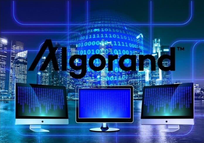 algorand