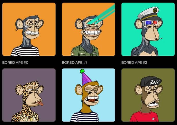bored_ape