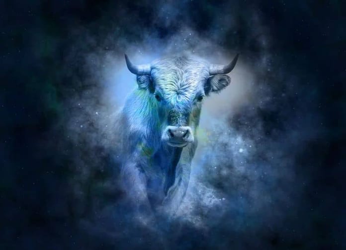 bull býk býčí trh kryptozima
