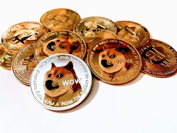 Tenev: Dogecoin by se mohl stát měnou internetu