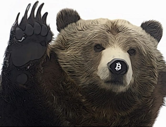 Medvědi se pořádně zakousli do Bitcoinu