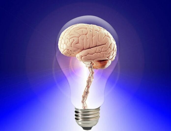idea myslenka mozek