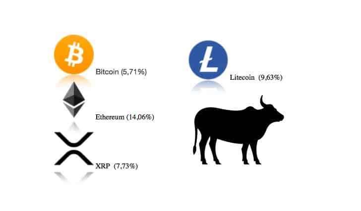 07.04.20 [Přehled trhu] Bull run šílenství na altcoinech a Bitcoinu – Ethereum se utrhlo ze řetězu!