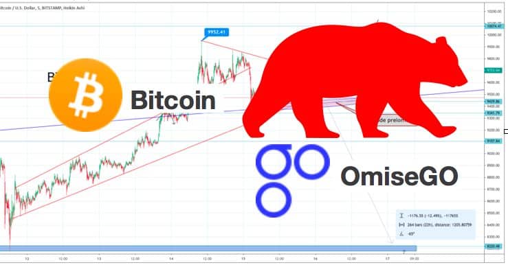 omisego, bitcoin, medvěd