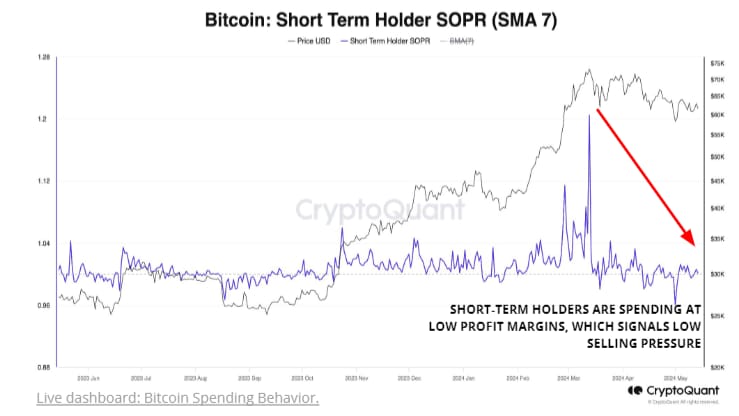 Aktivita krátkodobých investorů naznačuje snížený prodejní tlak (zdroj: CryptoQuant).