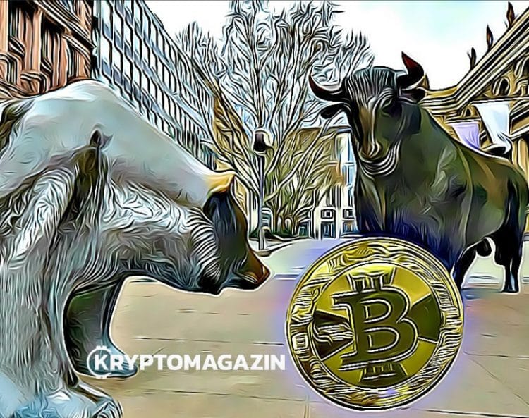 Bitcoin bull bear
