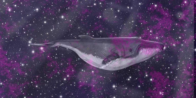 velryba whale vesmir