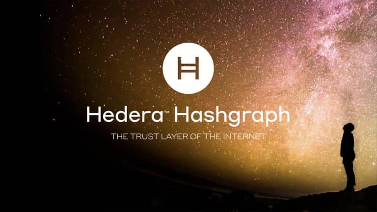 hedera
