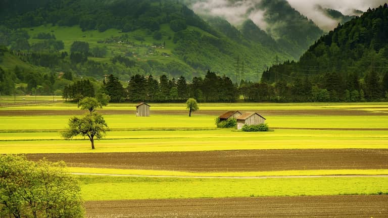 yield farming