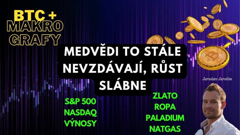 19.02.23 Video analýza: Bitcoin + makro grafy – Medvědi to stále nevzdávají, růst slábne