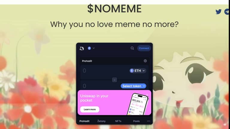 Pumpa Milady Coinu – $NOMEME vzrostl o 700 % po tweetu NFT Elonem Muskem