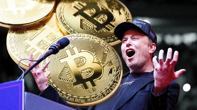 Bitcoin Elon Musk