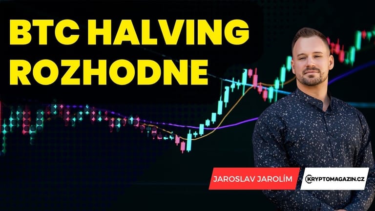 Bitcoin halving rozhodne o dalším růstu ceny
