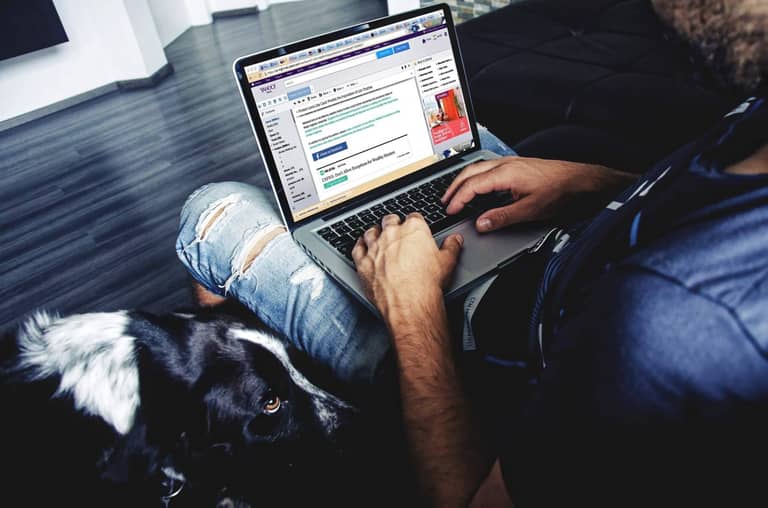 news, zprávy, dogecoin