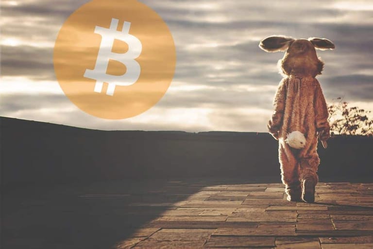 velikonoce vecer zajic rabbit bitcoin