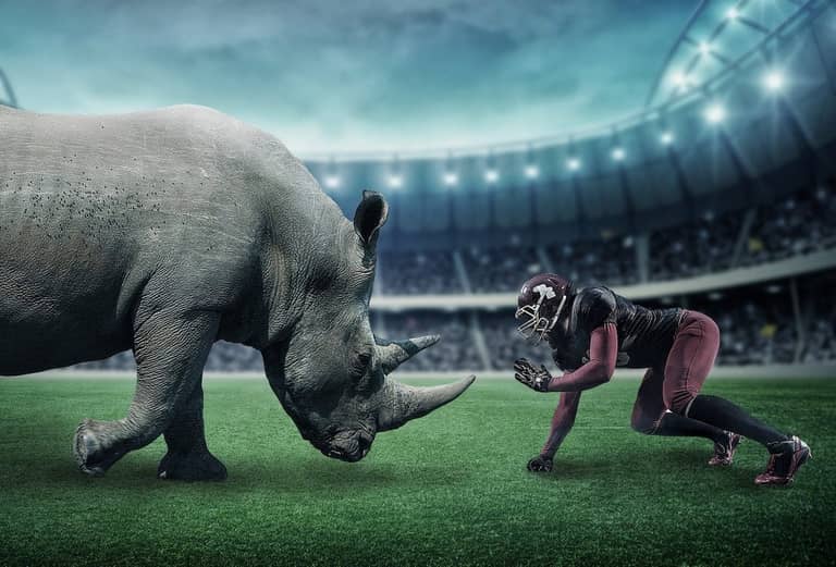Gray rhino aneb nosorožec v pokoji, kterého všichni ignorují