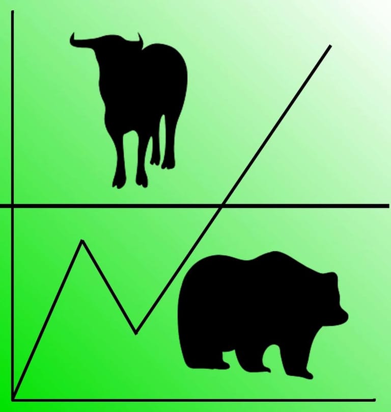 Bear bull - býčí a medvědí trh