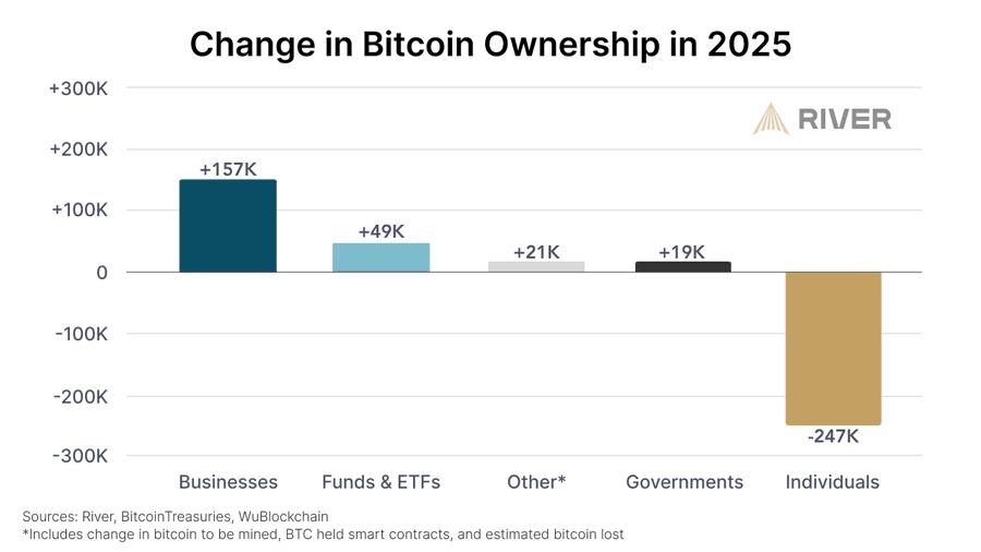 Změna ve vlastnictví bitcoinu v roce 2025. Zdroj: River