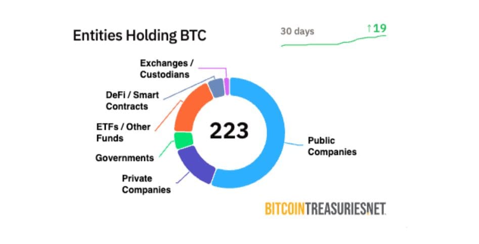 Subjekty držící bitcoin k 9. červnu 2025. Zdroj: BitcoinTreasuries.