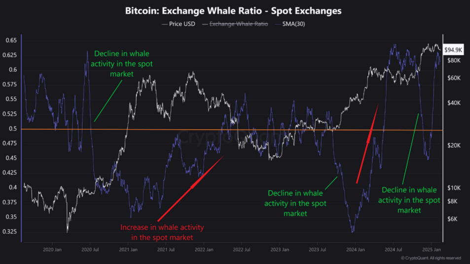 Bitcoin Exchange Whale Ratio - Zdroj: CryptoQuant