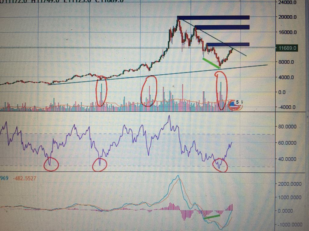 Roman Marko – BTC/USD Bitfinex 1D sviečky