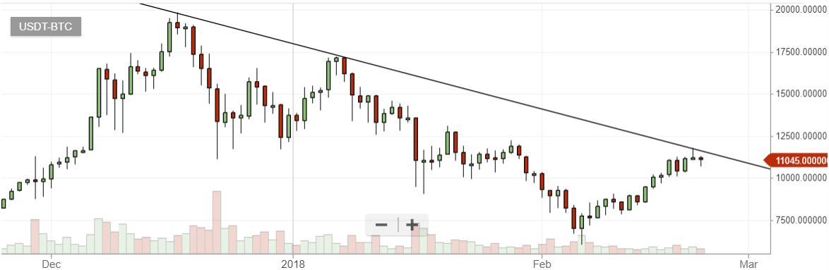 Pozor na bull trap!