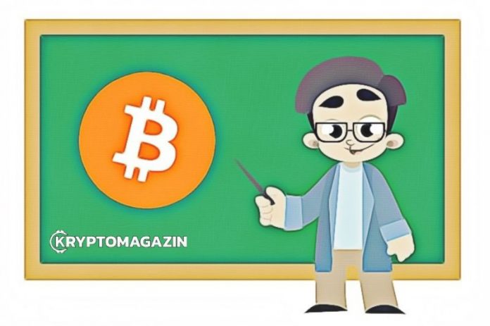 Co nejvíce trápí investory do kryptoměn? Přinášíme výsledky průzkumu