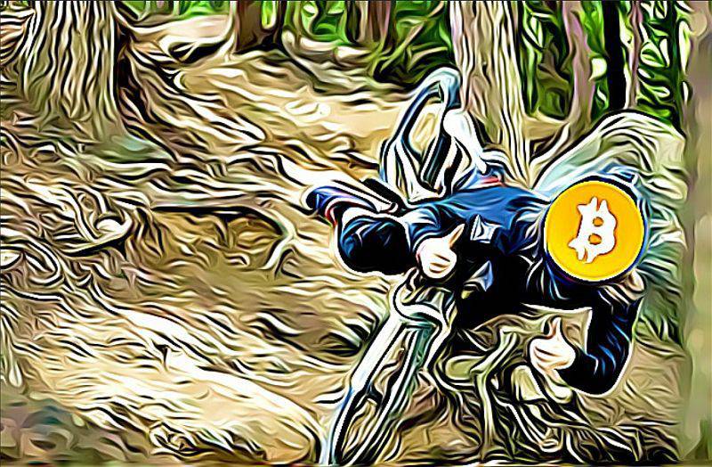 Bitcoin dump pall pad