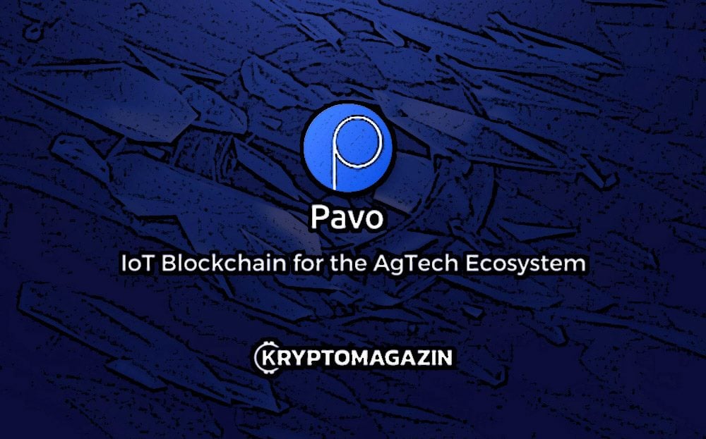 pavo