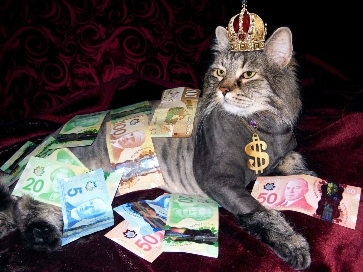 wealth, bohatství, 2022