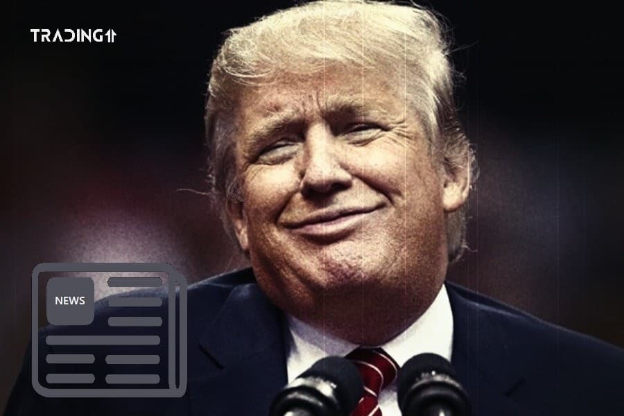 trump trading11
