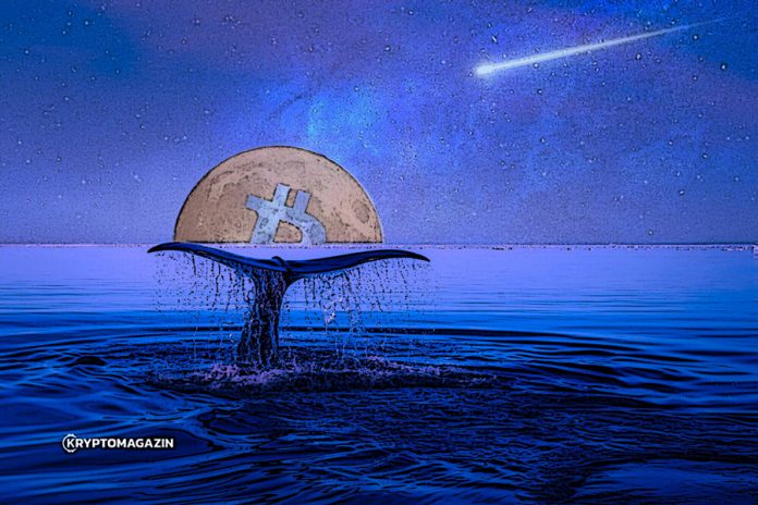 bitcoin-velryba-moon
