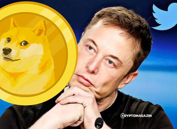 Elon Musk si přidal na Twitter, že je bývalý CEO Dogecoinu ...