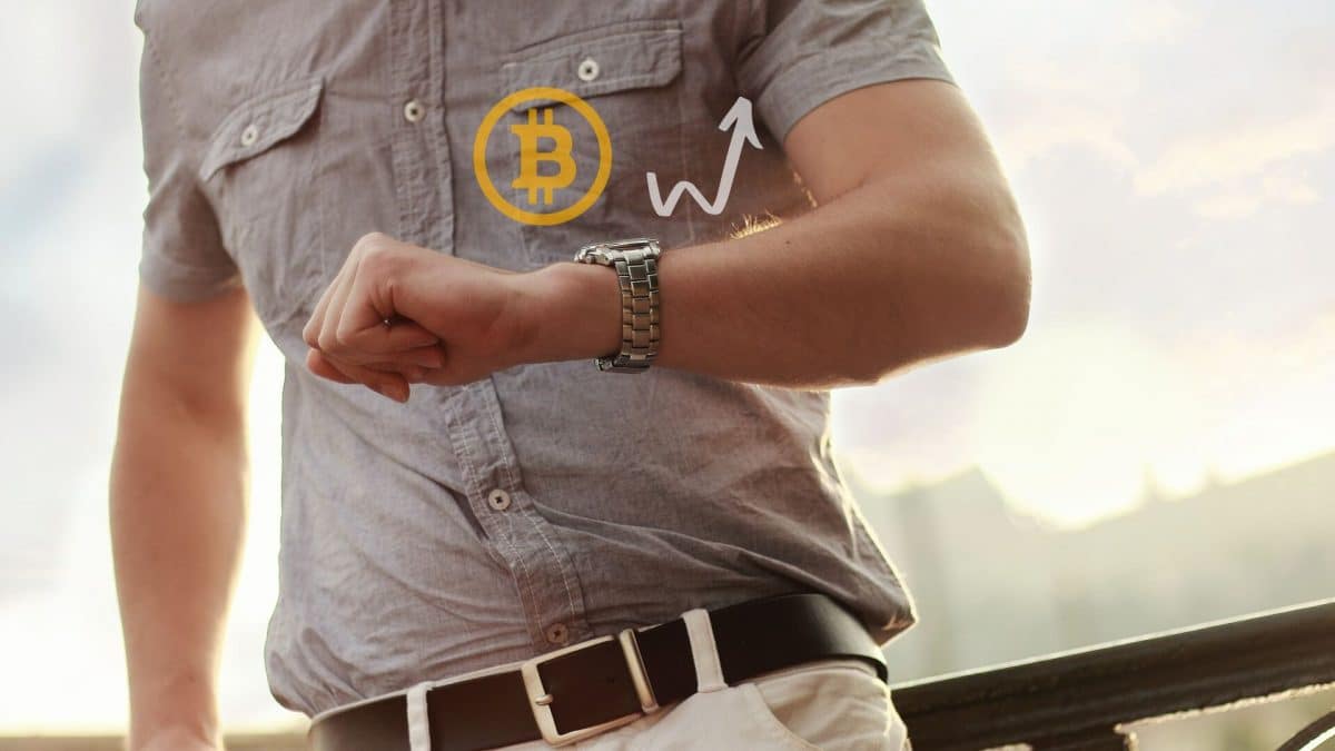 bitcoin, trh, cena, up