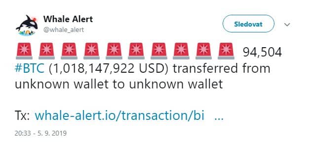 whale alert