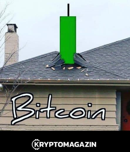 bitcoin, cena, trend, meme