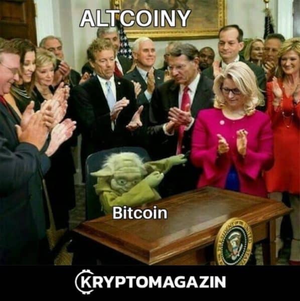 bitcoin, altcoiny, meme