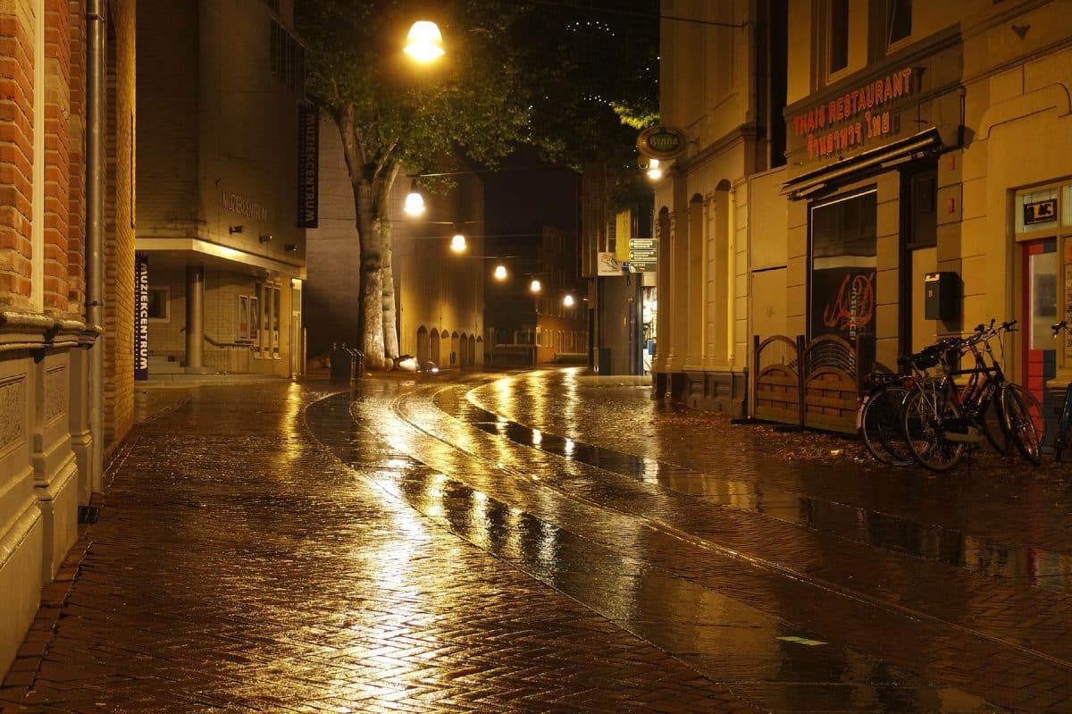 večerní, souhrn, článků