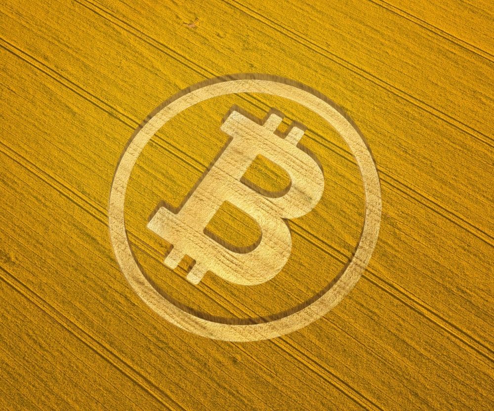 BTC obilí