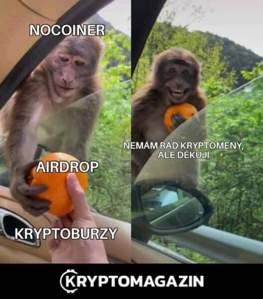 meme