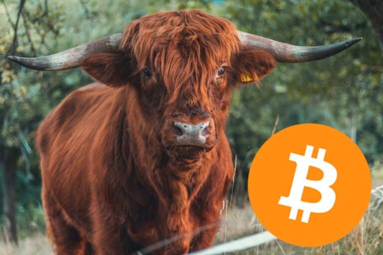Bitcoin, býk btc