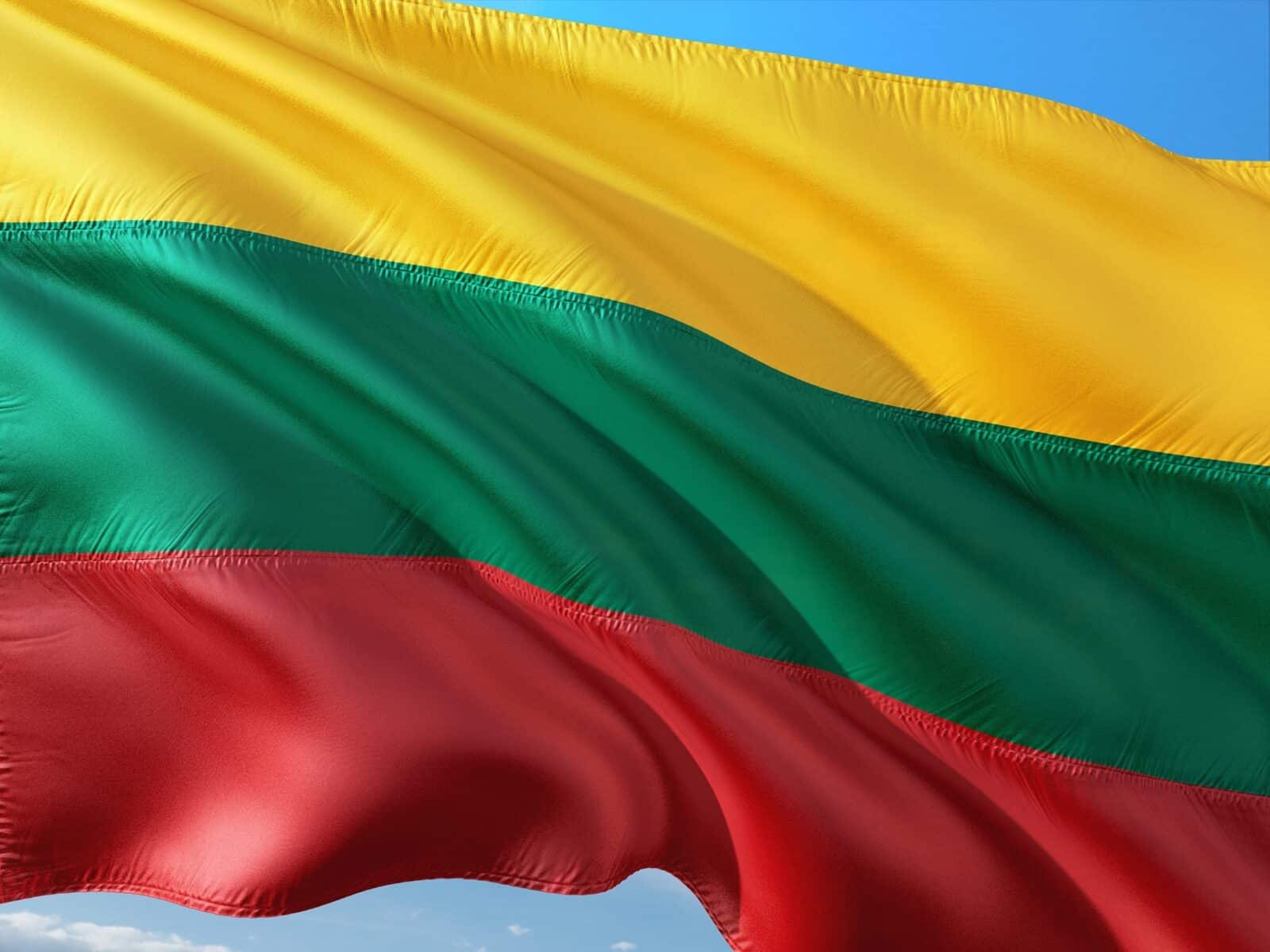 litva, vlajka, měna