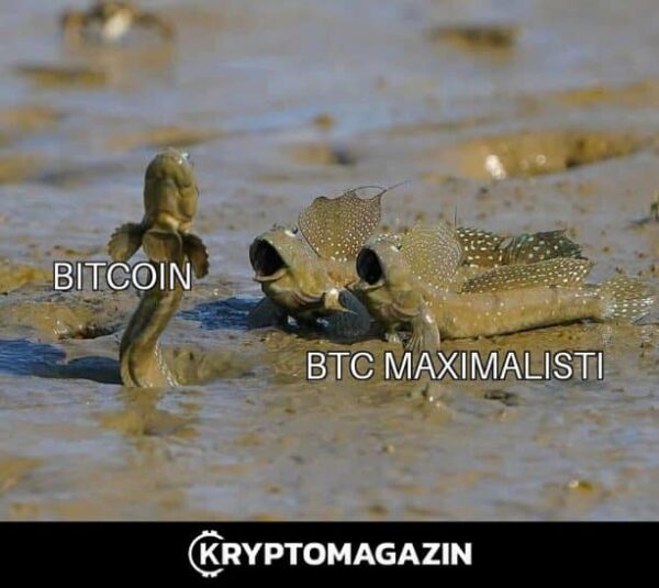meme