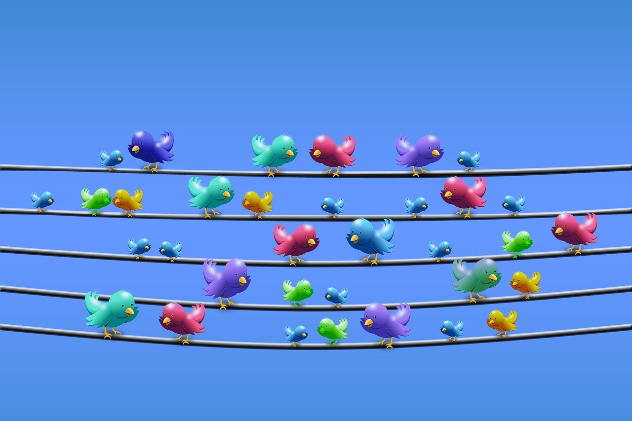 tweety