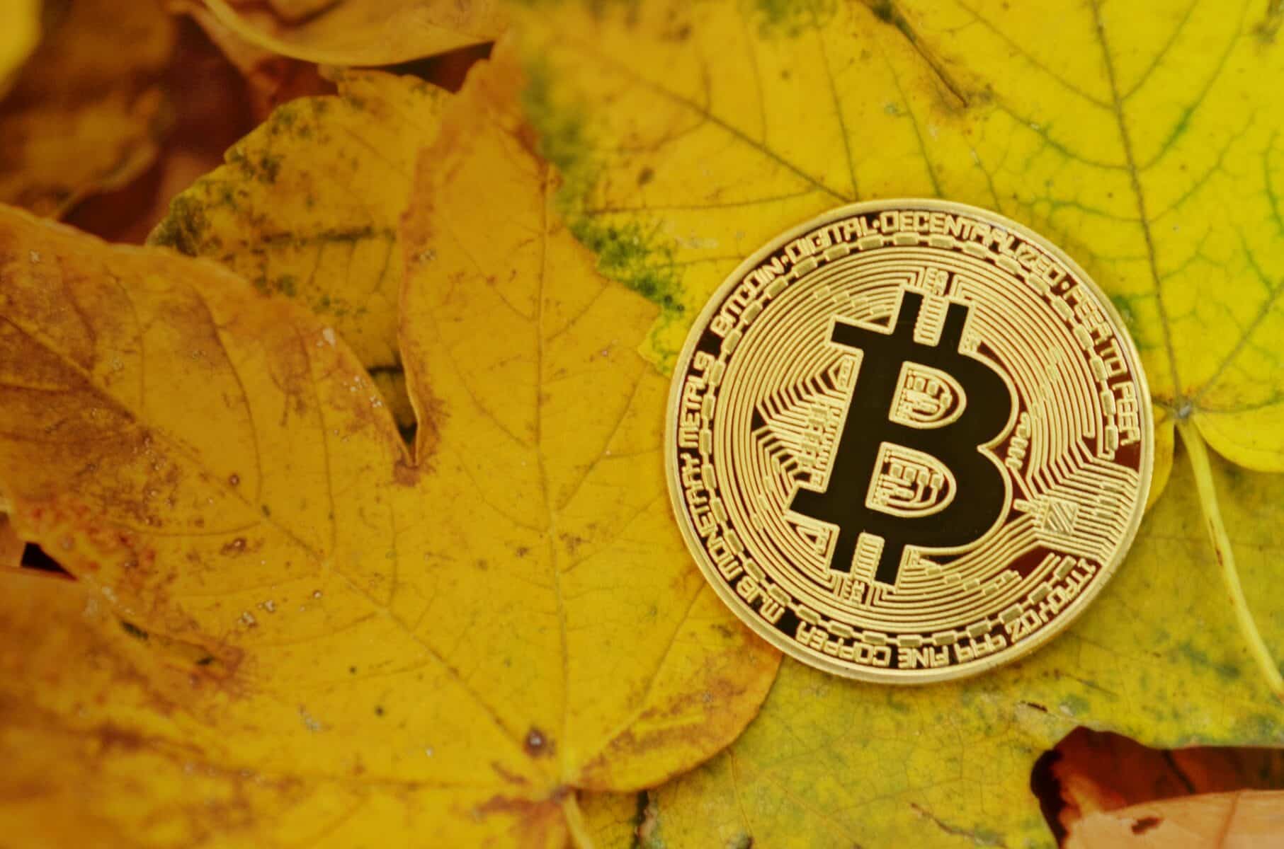 Bitcoin, bitcoiny