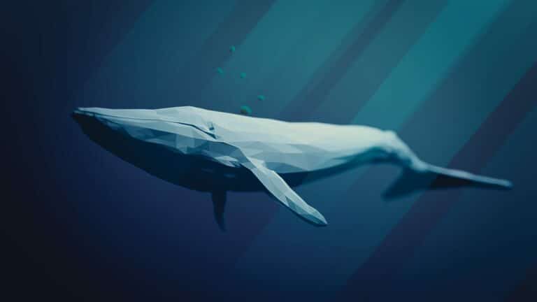 Kraken Report: Velryby pohánějí tuto rally