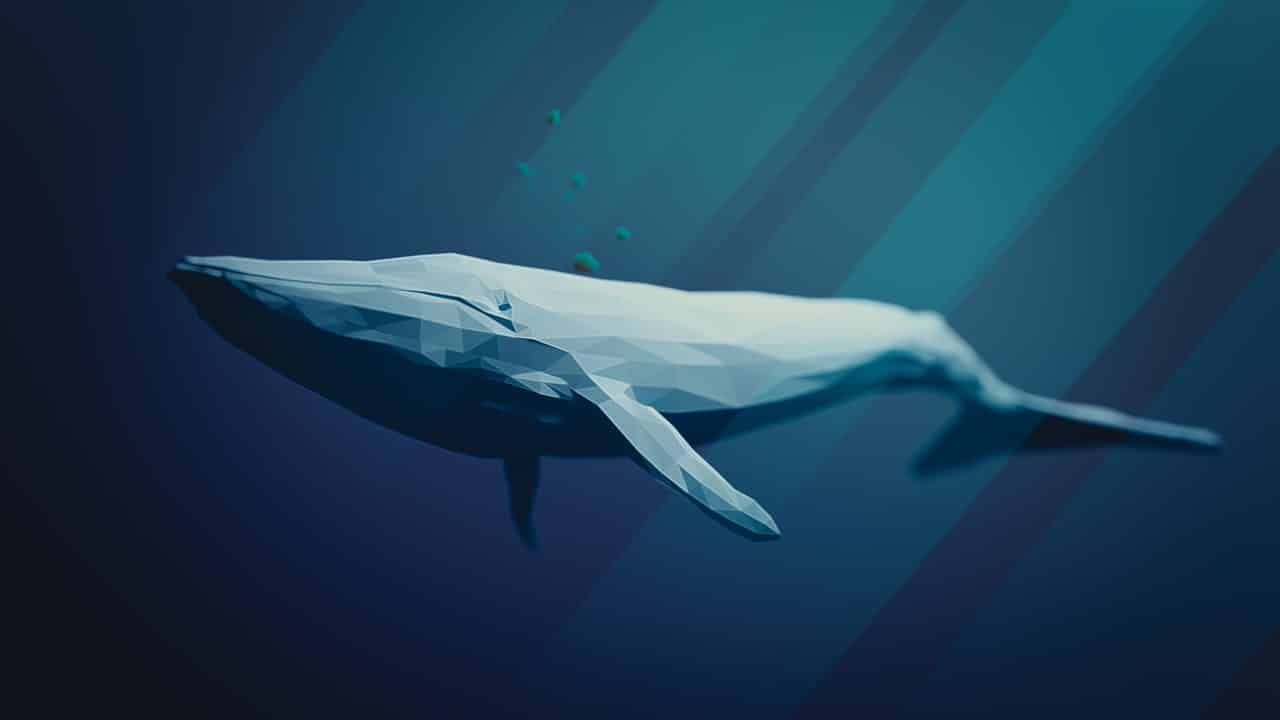 Kraken