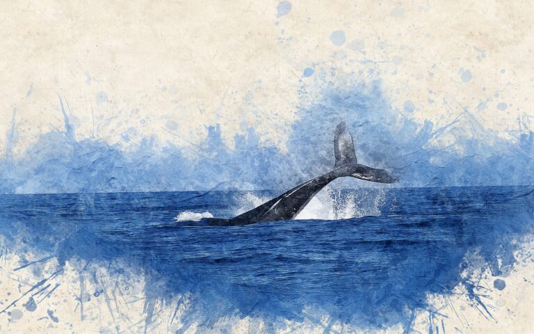 Data naznačují, že velryby ve velkém vykupují včerejší dipy